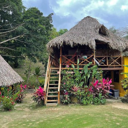 Ecohostal Palmares Del Rio Guachaca Esterno foto