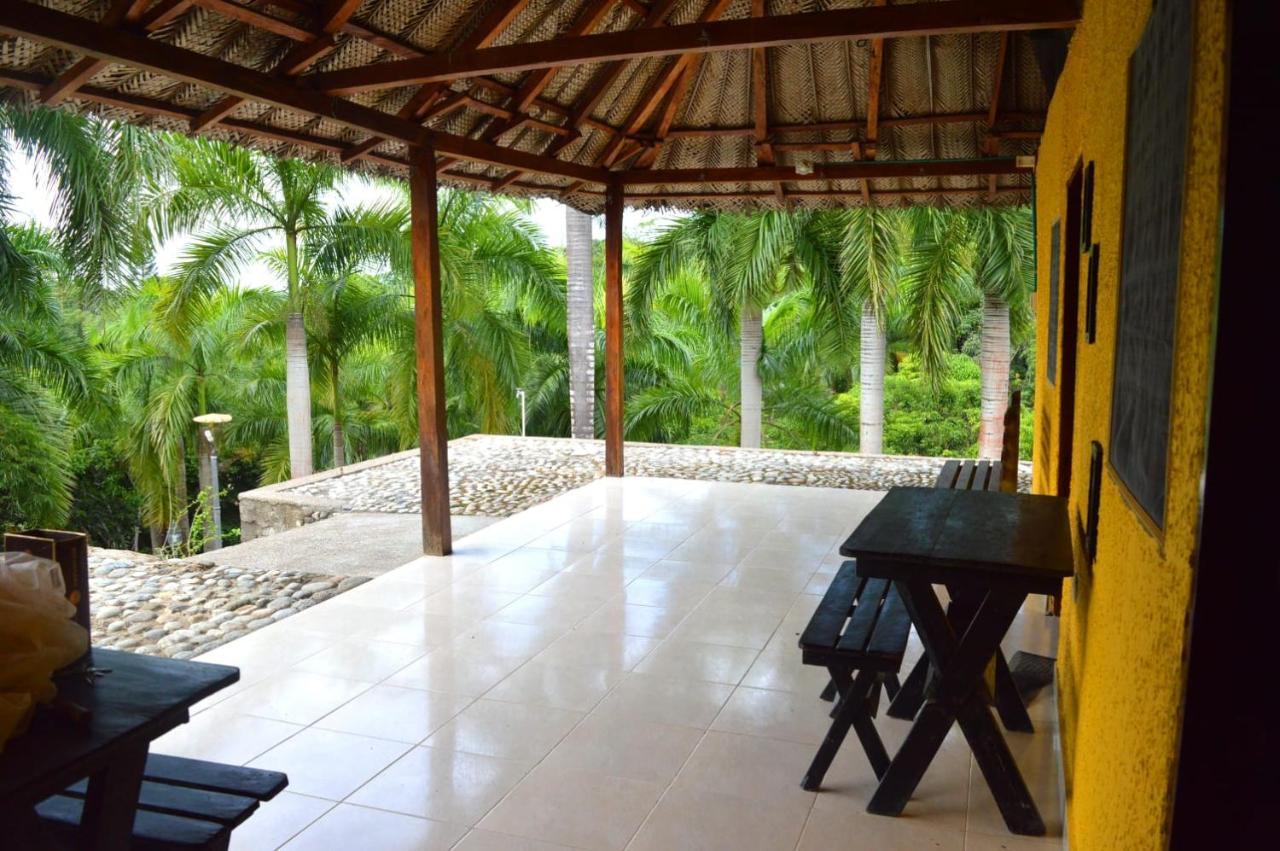 Ecohostal Palmares Del Rio Guachaca Esterno foto