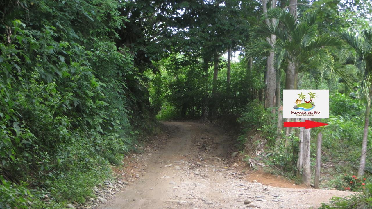 Ecohostal Palmares Del Rio Guachaca Esterno foto