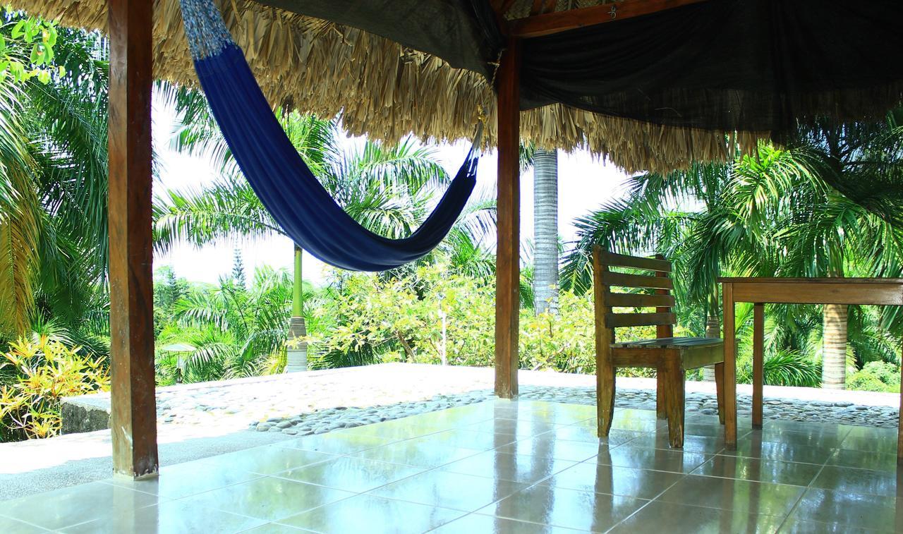 Ecohostal Palmares Del Rio Guachaca Esterno foto