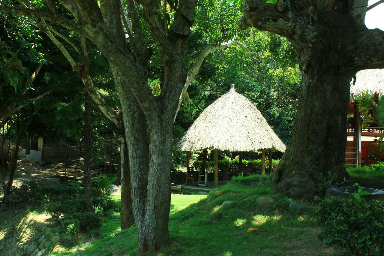 Ecohostal Palmares Del Rio Guachaca Esterno foto